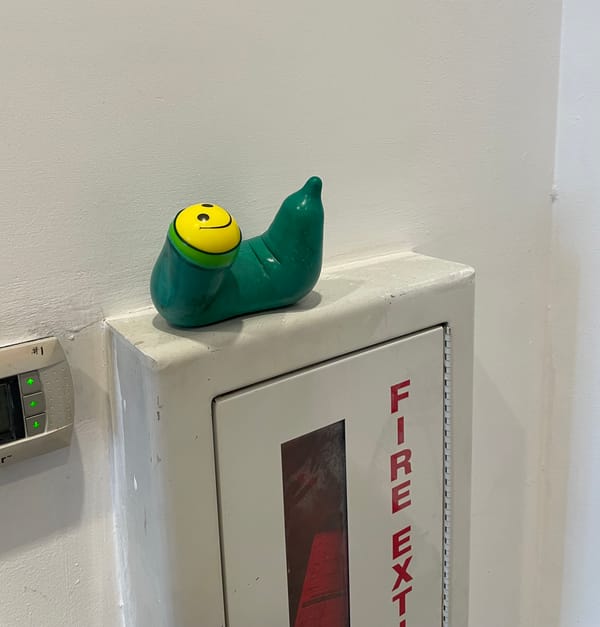 What Do Dolphins and Stress Balls Have in Common?