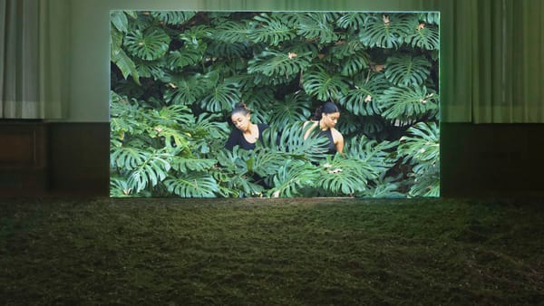 Unearthing the Land’s Buried Stories at the Venice Biennale