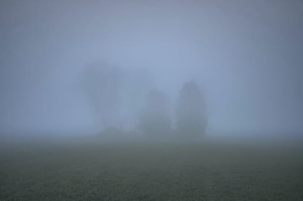 Pratt MFA Photographers Turn Landscapes into Critiques of Power