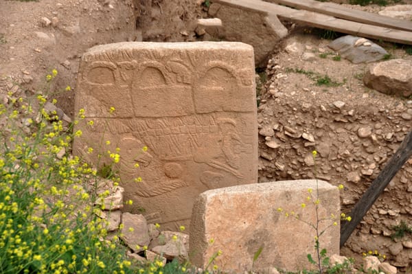 Ancient Stone Carvings in Turkey Could Be the World's Oldest Calendar