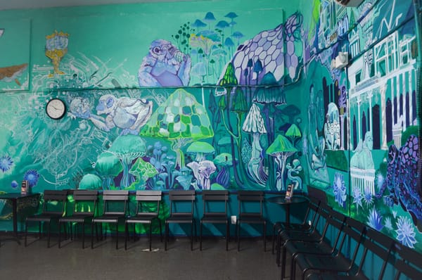 Inside the Bay Area’s Church of Magic Mushrooms