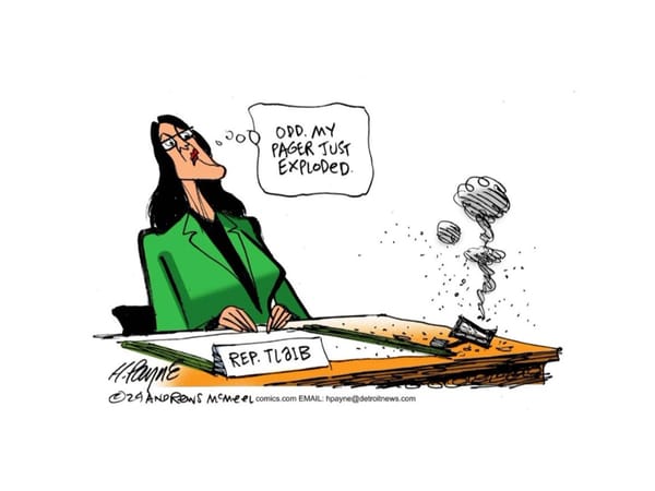 Racist Cartoon of Rashida Tlaib Draws Condemnation