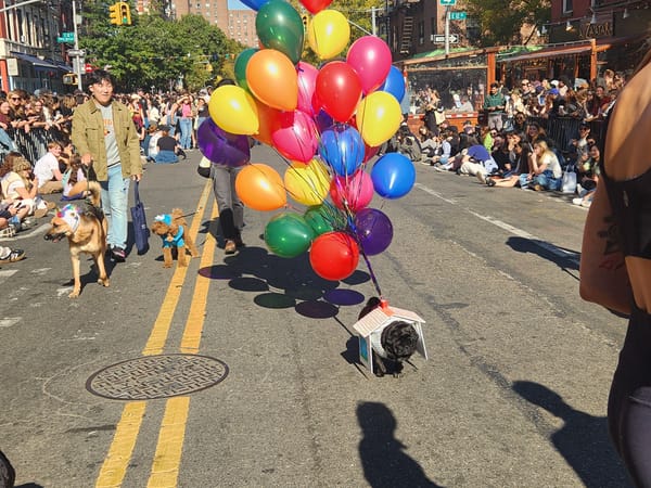 Tompkins Square Dog Parade Falls Victim to Its Popularity