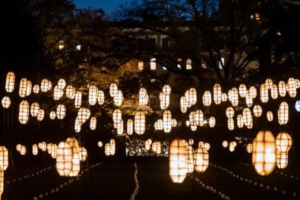 Lightscape Returns to Brooklyn Botanic Garden for the Holidays