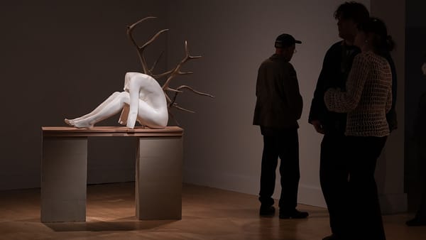 Intermedia + Digital Arts MFA at the University of Maryland, Baltimore County