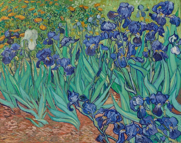 Van Gogh's “Irises” Were Never Supposed to Be Blue