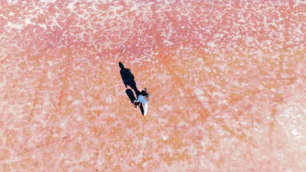 Doug Aitken’s Poetic Tableau of Southern California