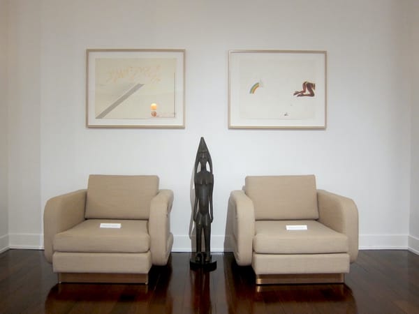 Theaster Gates’s House Museum Gone Wild