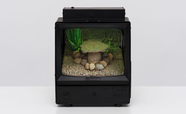 First Major Museum Survey of Carl Cheng Opens at ICA Philadelphia