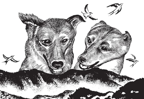 New Graphic Novel Tackles Thorny Questions Around Animal Cruelty