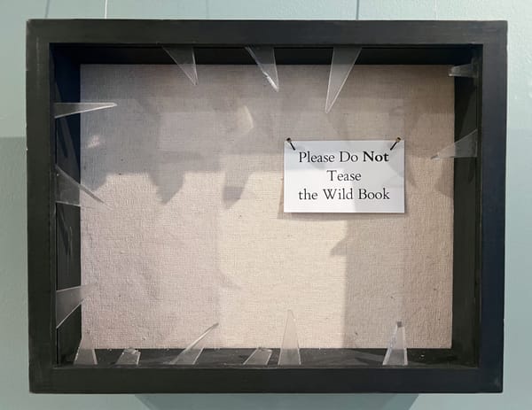 An Exhibition of Non-Existent Books
