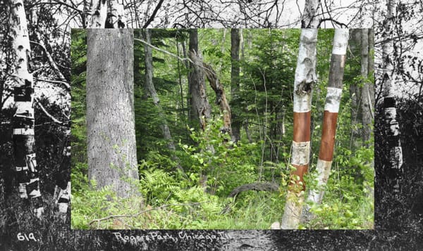 Woven Being Interweaves the Complexities of Native Art and Life