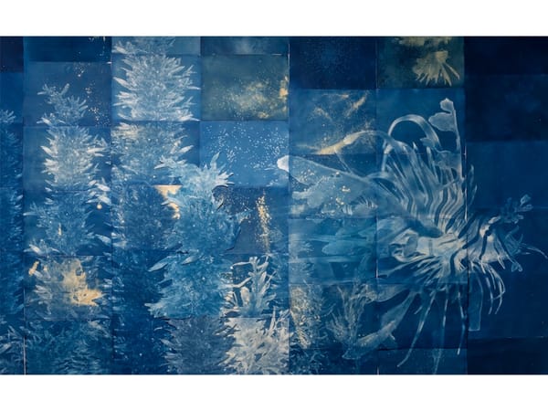 Andrea Chung’s Afrofuturism of Cyanotypes and Sugar