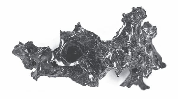 Research Shows How Mount Vesuvius Turned Man’s Brain Into Glass
