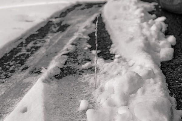 Judy Linn Casts a Solitary Eye on the World