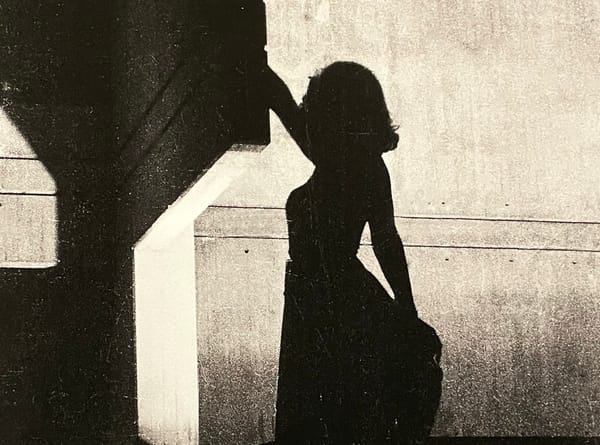 The Luminous Magnetism of the Transformistas