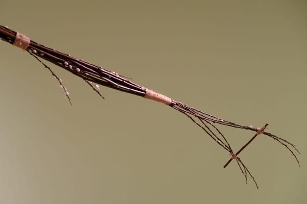 Vladimir Tatlin’s Ukraine Dreaming