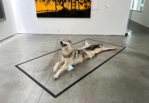 Galleries That Play the “Responsibility” Game