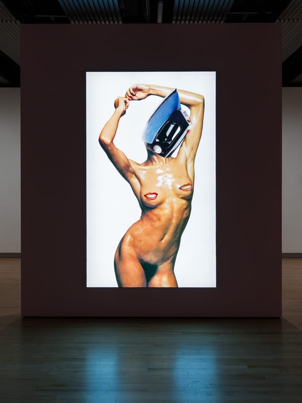 Linder’s Monstrous Pop Cultural Assemblages