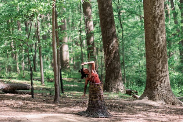 TERRA: Bodies & Territories Activates Land as Living Laboratory and Stage