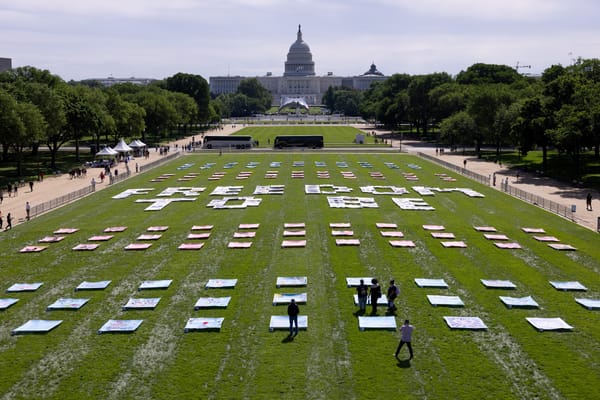 Massive Artwork for Trans Visibility Unveiled on National Mall