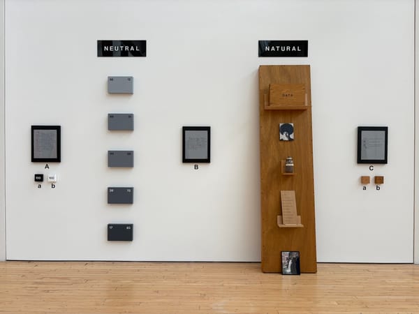 Renée Green Questions the Meaning of Meanings