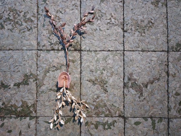 Giuseppe Penone Captures the Breath of the World