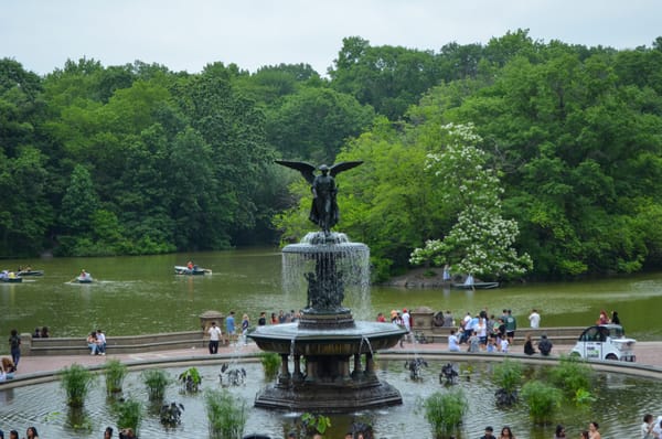 The Queer History of Central Park’s Bethesda Fountain