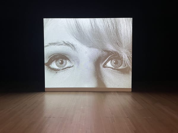 A Massive Diane Arbus Exhibition Does So Little