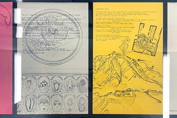 Barbara T. Smith’s Experiments in Xerox