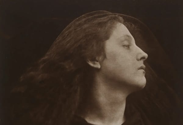 Four New York City Art Shows to See Right Now