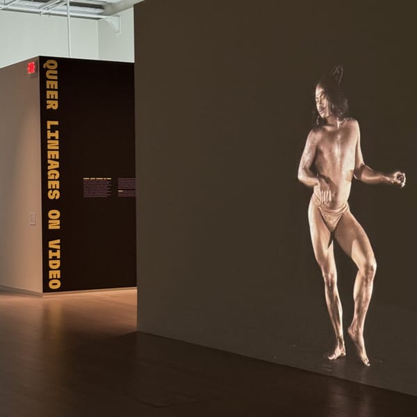 Video Art That Chases the Rainbow