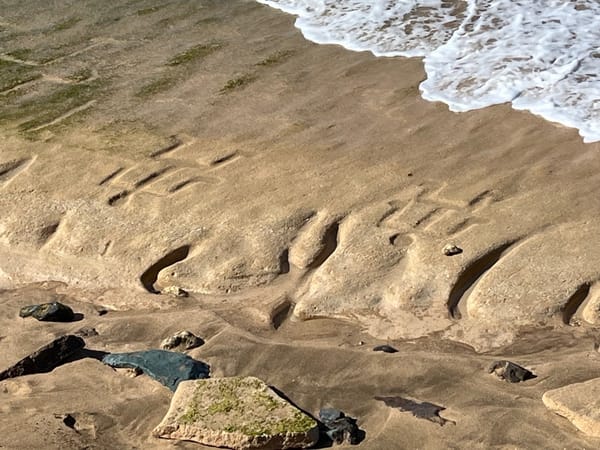Changing Tides Expose Centuries-Old Petroglyphs in Hawaii