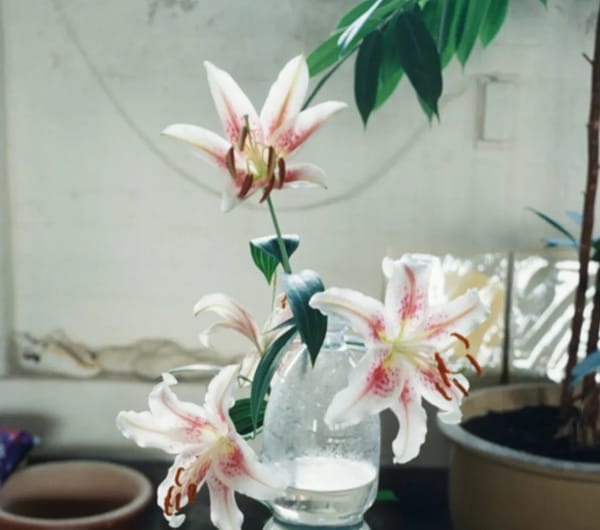 This Novel Is the Art World’s Black Mirror