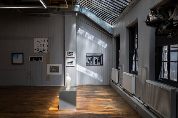 Art in General, Nonprofit Champion of Early-Career Artists, Is Reopening